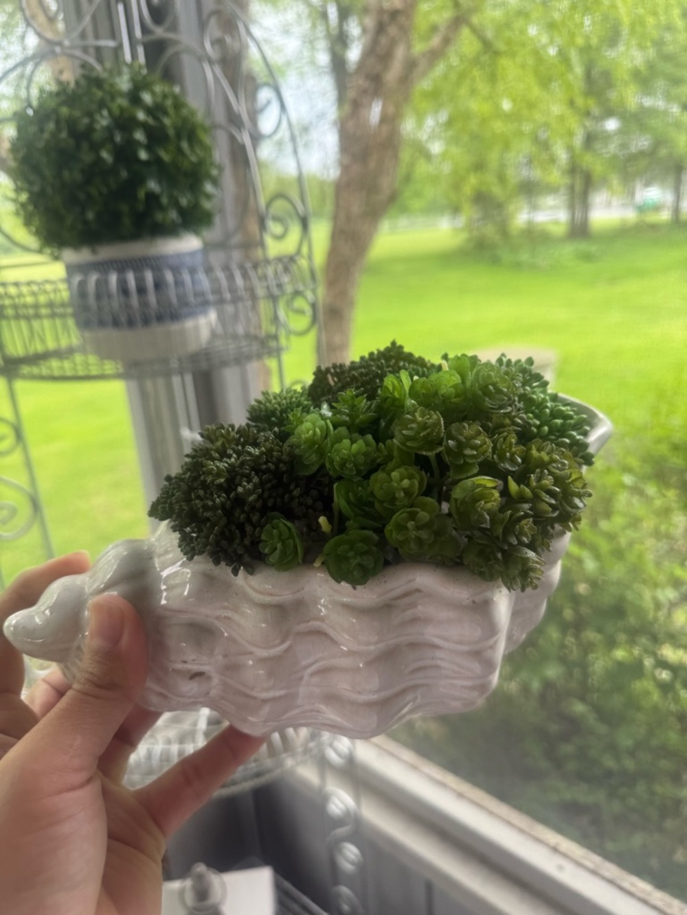 White Ceramic Shell Planter with Green Succulent Accent